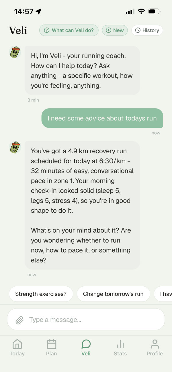 Chat with Veli